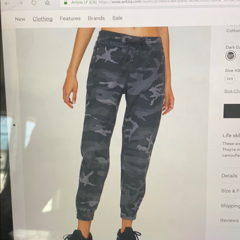 Aritzia TNA Gray Cargo pants